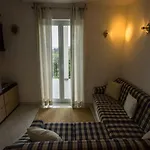 Daju * Ždrelac
