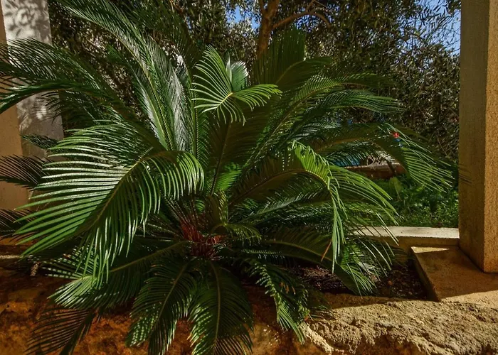 Daju Apartmán Ždrelac