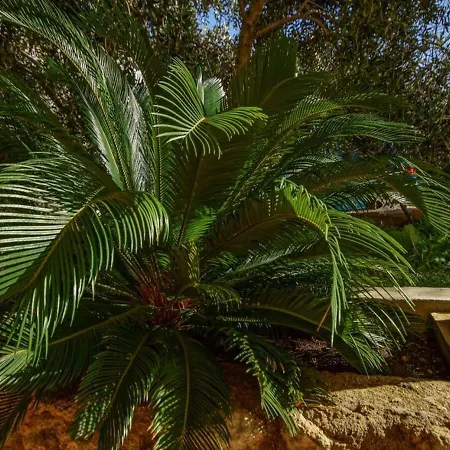 Daju アパート Ždrelac